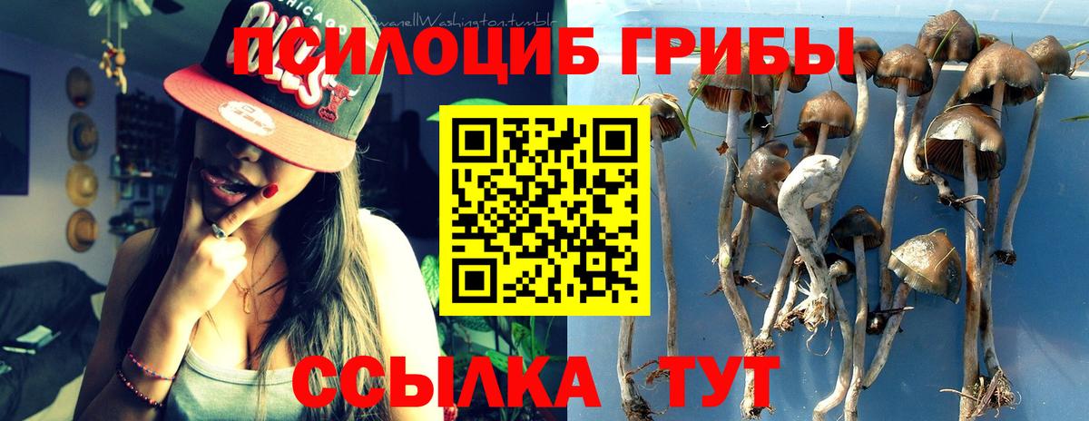 Галлюциногенные грибы мухоморы Сосновоборск